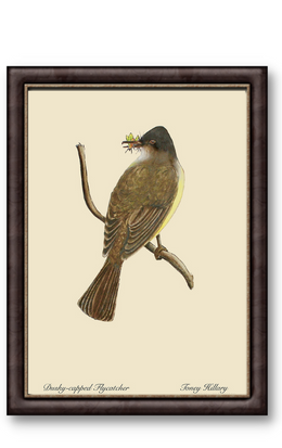 Dusky Capped Flycatcher 12" x 18"