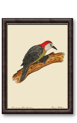 Jamaican Woodpecker 12" x 18"