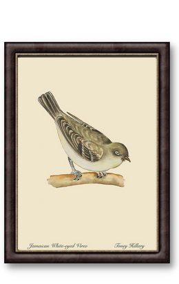 White-Eyed Vireo 12" x 18"